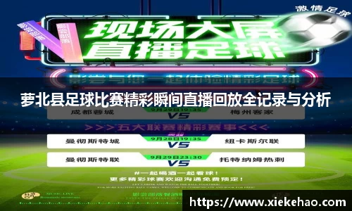 星空体育新版本
