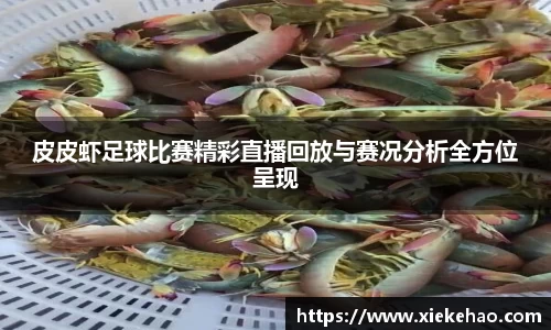 星空体育新版本