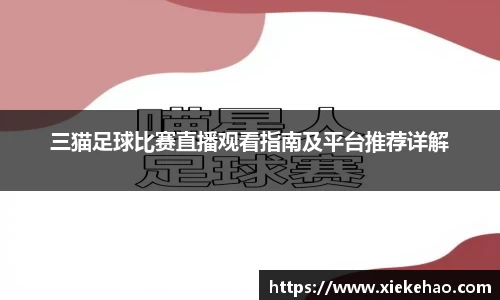星空体育官方网站