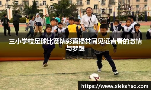 星空体育网址