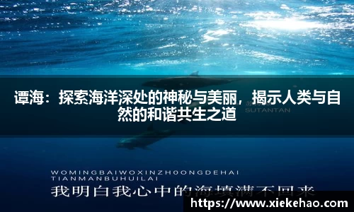 星空体育网址