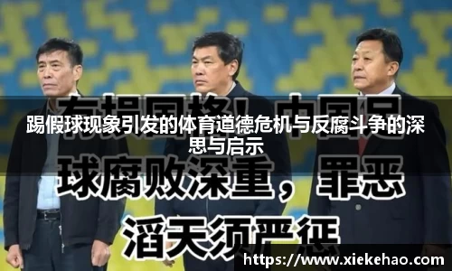 踢假球现象引发的体育道德危机与反腐斗争的深思与启示