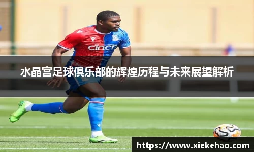 水晶宫足球俱乐部的辉煌历程与未来展望解析