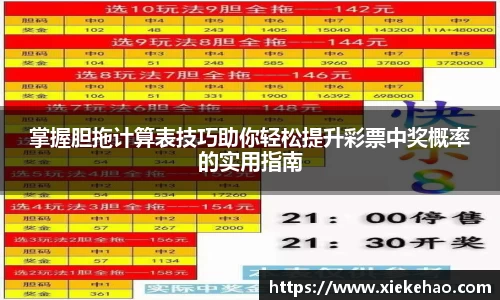 掌握胆拖计算表技巧助你轻松提升彩票中奖概率的实用指南