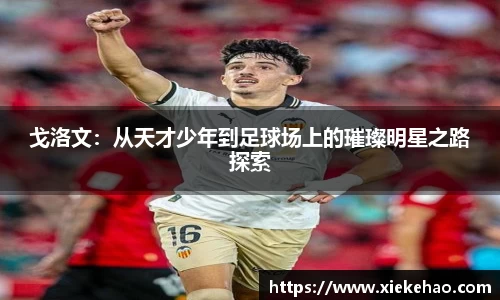 星空体育手机下载
