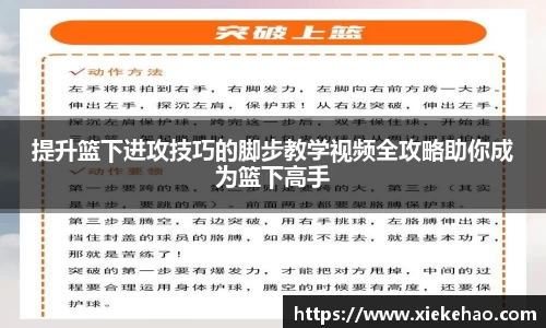 星空体育网址