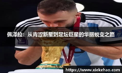 星空体育手机下载