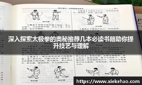 深入探索太极拳的奥秘推荐几本必读书籍助你提升技艺与理解