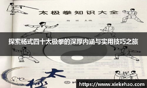 星空体育官方网站