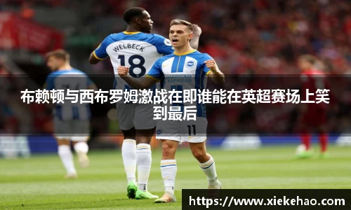 布赖顿与西布罗姆激战在即谁能在英超赛场上笑到最后